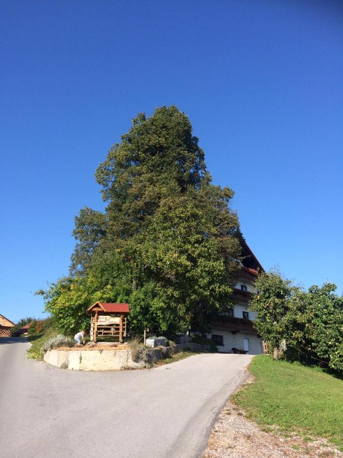 Country House Apat Sostanj Ngoại thất bức ảnh