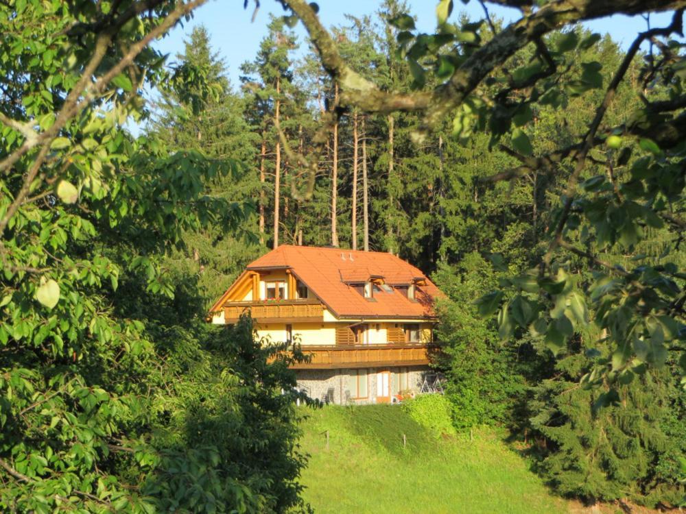 Country House Apat Sostanj Ngoại thất bức ảnh