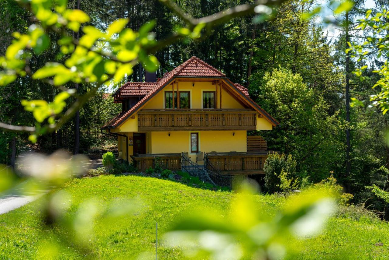 Country House Apat Sostanj Ngoại thất bức ảnh